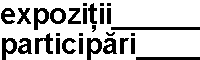 expozitii